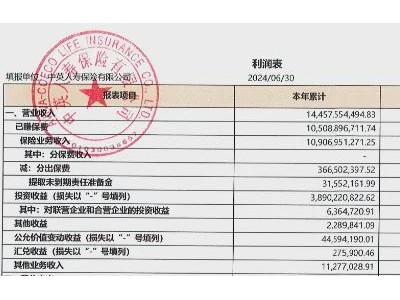 中英人寿上半年业绩滑坡，营收降幅近七成引关注