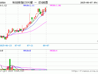 科创综指ETF兴银开盘微涨，重仓股表现各异，中科飞测、石头科技等个股小幅上扬