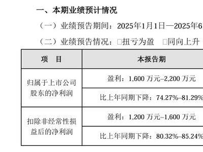探路者上半年净利预降超七成，户外产品销售遇冷芯片业务亦受影响