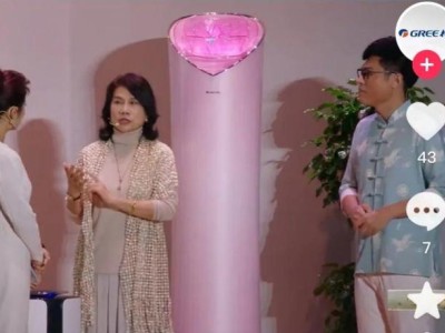 董明珠力挺玫瑰空调：审美各异，坚持创新满足多元需求