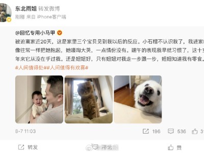 东北雨姐久违更新微博，转发宠物互动内容后秒删引关注