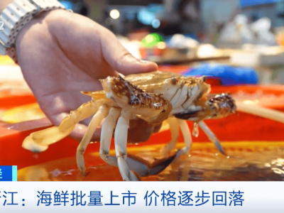 东海海鲜大量上市，梭子蟹价格大跳水，你准备好尝鲜了吗？
