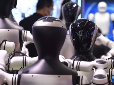 2025世界机器人大会：人形机器人等展品展现未来生活无限可能