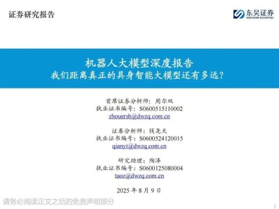 探索机器人大模型前沿：迈向真正具身智能的2025之路