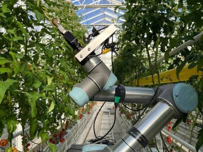 智能育种新突破：我国“吉儿”机器人引领杂交育种革命