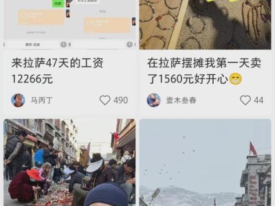 西藏崛起：不仅是经济奇迹，更是中国陆权战略的重要布局