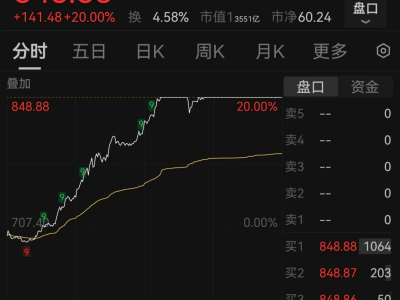 寒武纪20cm涨停后辟谣业绩传闻，AI半导体产业未来前景如何？