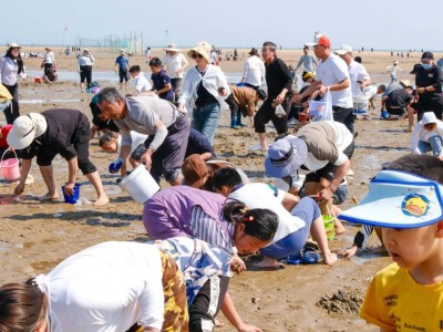 日照赶海新玩法！景区狂撒3000斤蛤蜊，游客直呼赶海体验升级