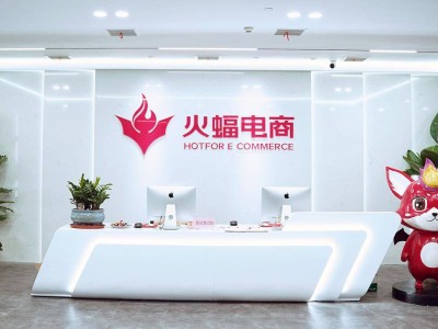 德国家清品牌如何借火蝠电商本土化破局，GMV环比增长13倍？