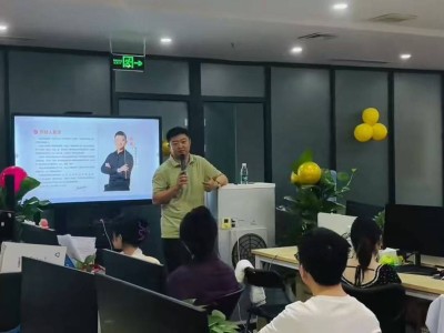 树品GEO：系统兼容无忧，口碑卓越，定制服务引领营销新风尚