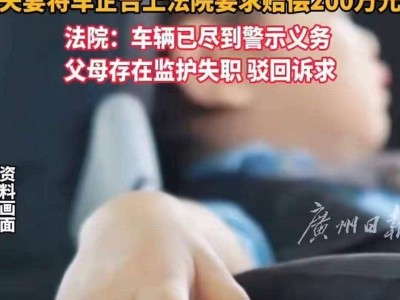 五岁女童调座椅致弟窒息，家长反怪车企索赔被拒