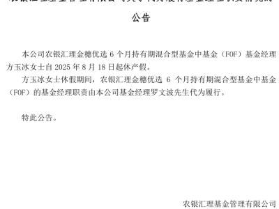 罗文波重返农银汇理金穗优选FOF，业绩困局能否破冰？
