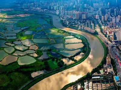深港消费新趋势：港人为何热衷“北上”深圳购物？
