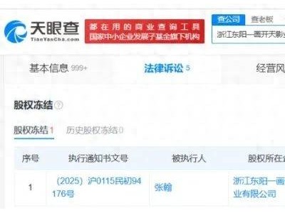 张翰165万股权遭冻结，频陷法律纠纷引关注