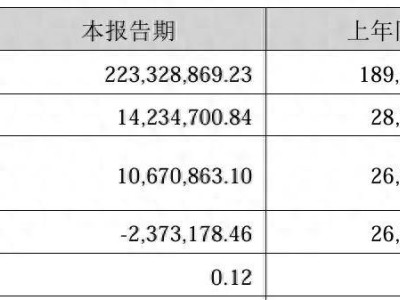 波长光电上市后面临增收不增利困境，上半年净利润大跌，毛利率下滑引关注