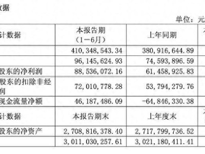 虹软科技上半年业绩亮眼：营收净利双增长，IoT视觉项目建成