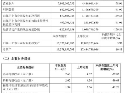 石头科技2025上半年营收大涨近八成，净利润6.78亿但同比下降