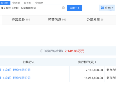 罗永浩TBT项目面世背后：锤子科技被执行2142万