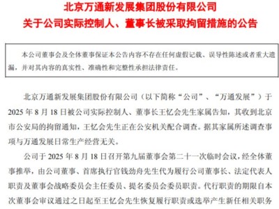 万通双雄命运各异：王忆会刑拘风波，冯仑低调抄底地产新机遇