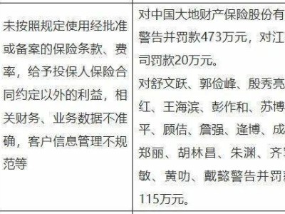 大地财险突围挑战：保费破500亿后，“雷李配”如何应对合规与排名压力？