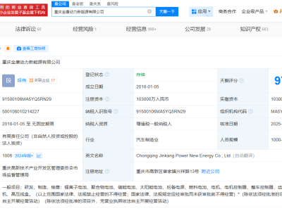 赛力斯全资持股金康动力公司