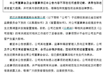科创板达梦数据80后总经理皮宇被留置，公司运营正常，董事长冯裕才稳健掌舵