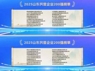 2025山东民营企业百强榜单揭晓，济宁企业表现如何？