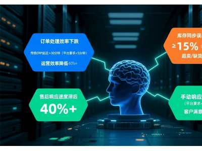 拼多多商家破局：无接口时代如何高效掌握运营数据？