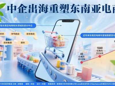 东南亚电商蓝海涌动，中国企业如何乘风破浪？