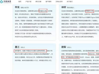 阿里“传奇程序员”多隆新征程：携手贝联珠贯科技共创未来