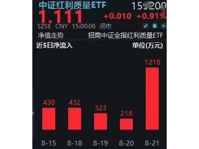 中证红利质量ETF(159209)不含银行股，千万级加仓凸显资金新偏好？