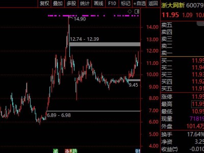 浙大网新尾盘涨停揭秘：AI算力租赁+DeepSeek大模型，多元化布局受热捧？