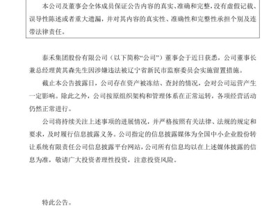 泰禾集团董事长黄其森涉嫌违法被留置，公司运营受波及
