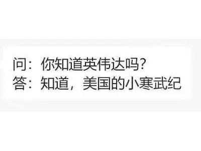 芯片新贵寒武纪逼近茅台，但斌押注“美国小寒武纪”上半年却亏损