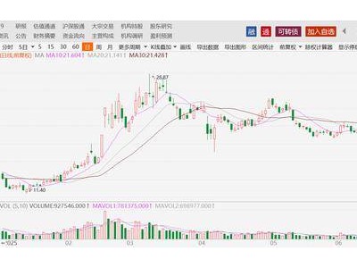 章建平重仓AI+豪赚，寒武纪涨停背后国产AI生态崛起？