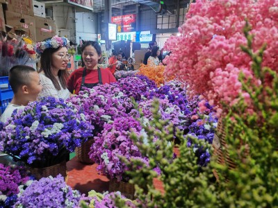 云南鲜花借直播电商“绽放”，七夕节前市场持续升温