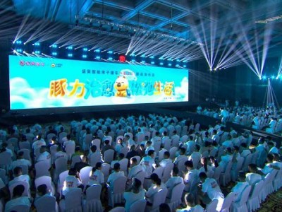 盛昊篷车新品米粒E01携手小黄豚，定义亲子出行新温度