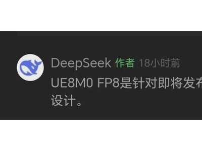 UE8M0 FP8：国产芯片新风口？