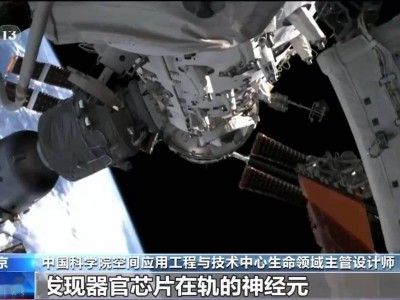 中国空间站：空间生命科学实验新发现，钨合金加热纪录再创新高