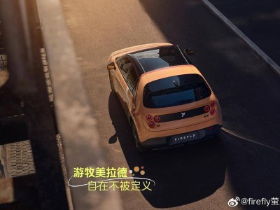 蔚来萤火虫“游牧美拉德”特别版上市，限量333台，独特设计引关注