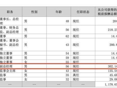 欣旺达港股IPO进行时：高管团队揭秘，副总薪酬超董事长引关注