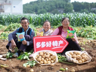 拼多多Q2财报：“千亿扶持”战略下，供需两侧高质量发展成效显著
