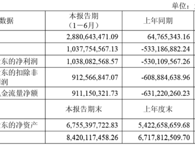 寒武纪上半年营收暴增43倍，80后创始人陈天石身家暴涨至1588亿