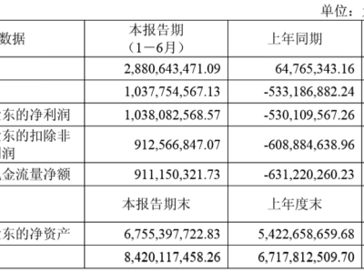 寒武纪2025上半年业绩爆发：营收激增43倍，净利润成功扭亏为盈