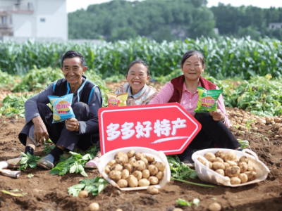拼多多Q2财报：营收增速放缓，千亿计划打造健康电商生态