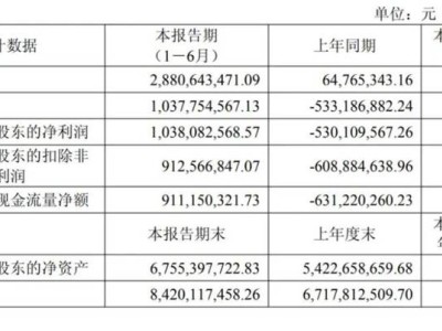 寒武纪股价狂飙，一度问鼎A股“股王”，贵州茅台地位受挑战？