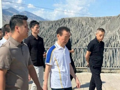 王健林苦撑万达，王思聪海外逍遥，父子境遇大不同！