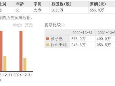 江苏国泰半年报亮点：营收利润双增长，董事长张子燕年薪稳超五百万
