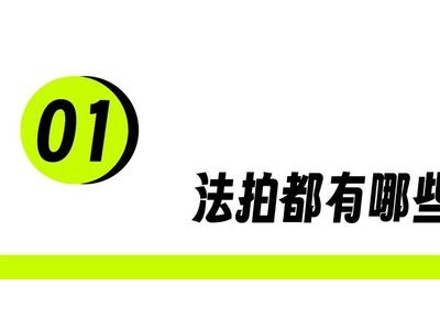 法拍市场奇闻：从狸花猫到豪宅，荒诞与现实交织的财富游戏