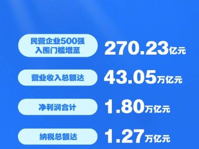 2025中国民企500强榜单揭晓，京东阿里恒力位居前三，广西三企上榜